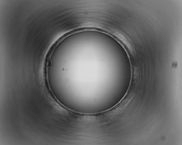 X0000103171068200808221229