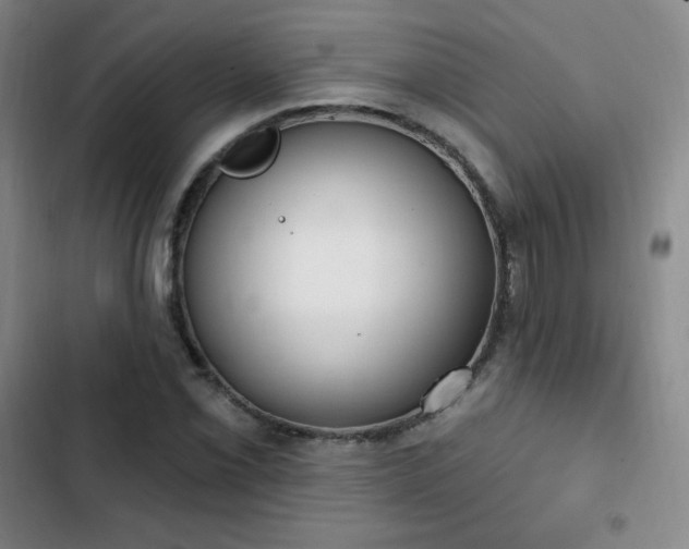 X0000103171069200808221229
