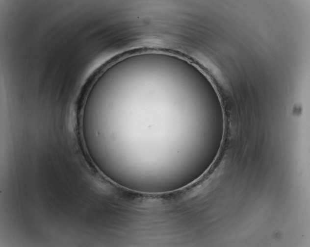 X0000103171070200808221229