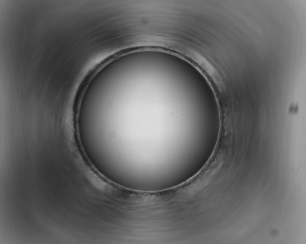 X0000103171072200808221229