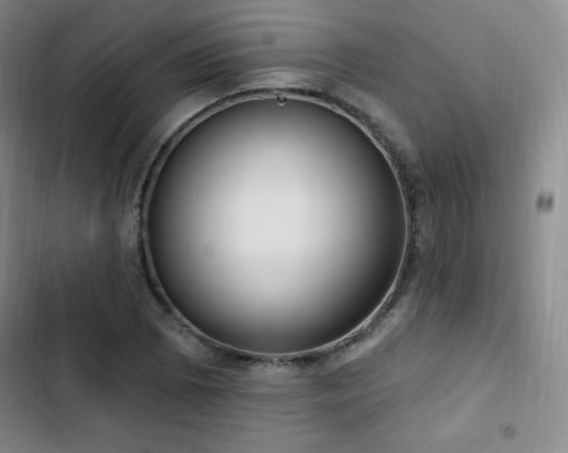 X0000103171073200808221229