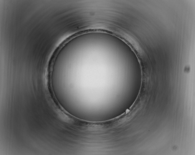 X0000103171076200808221229