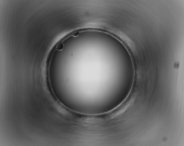 X0000103171077200808221229
