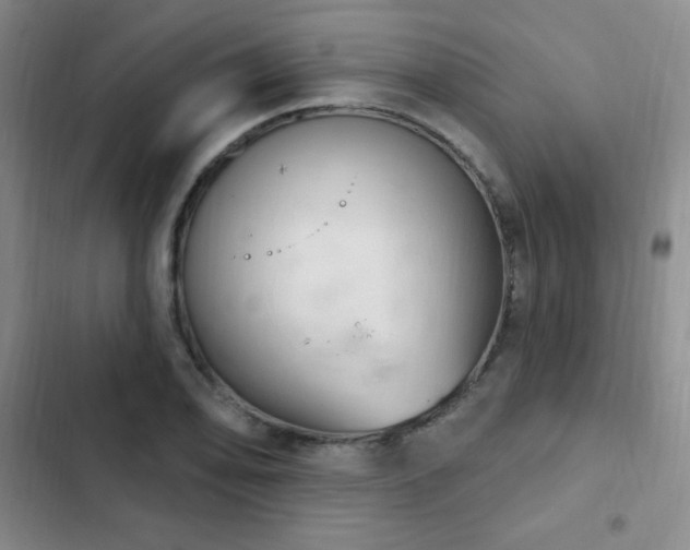 X0000103171078200808221229