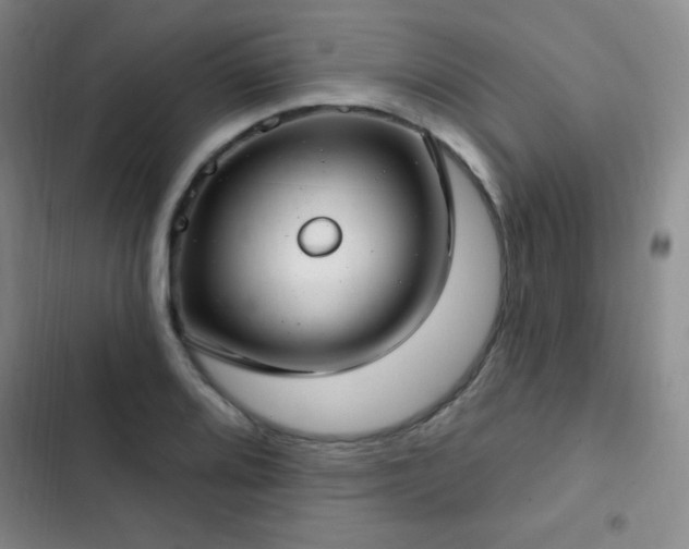 X0000103171080200808221229