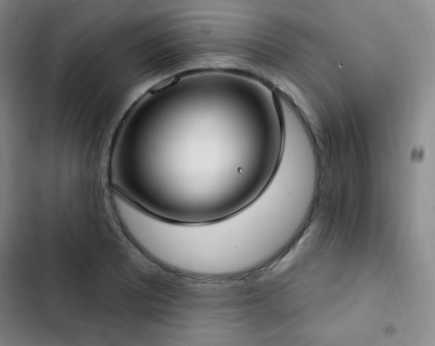 X0000103171081200808221229