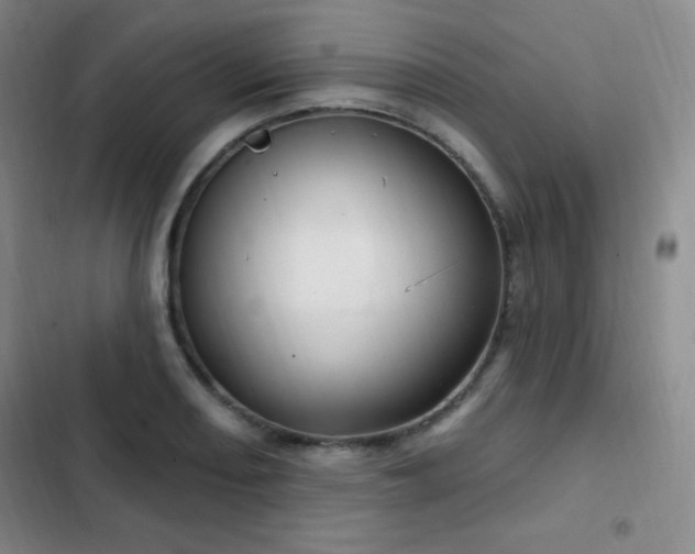 X0000103171082200808221229