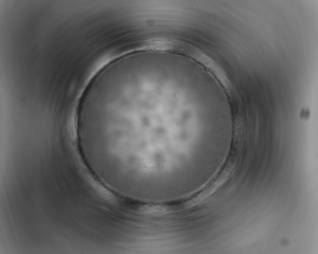 X0000103171083200808221229