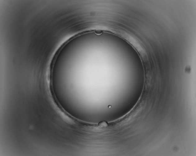 X0000103171084200808221229