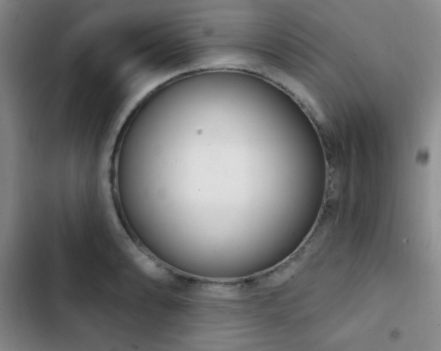 X0000103171086200808221229