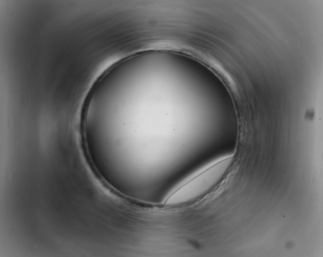 X0000103171087200808221229
