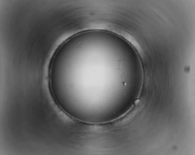 X0000103171088200808221229