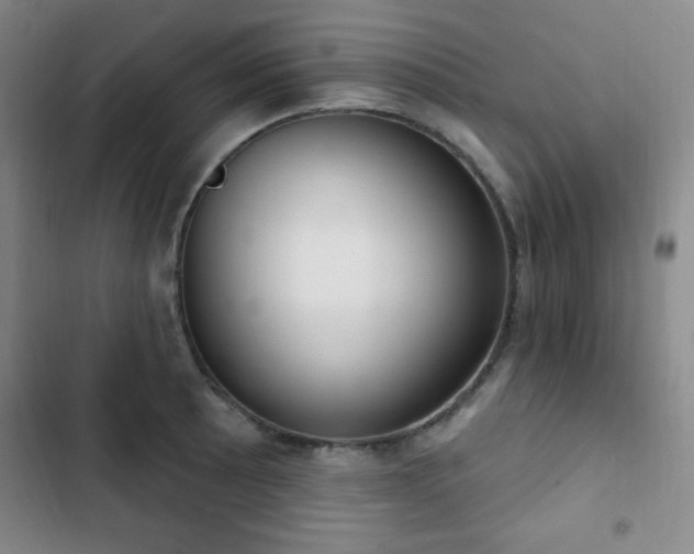 X0000103171089200808221229