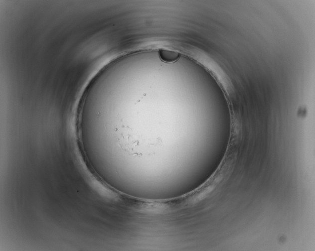 X0000103171090200808221229