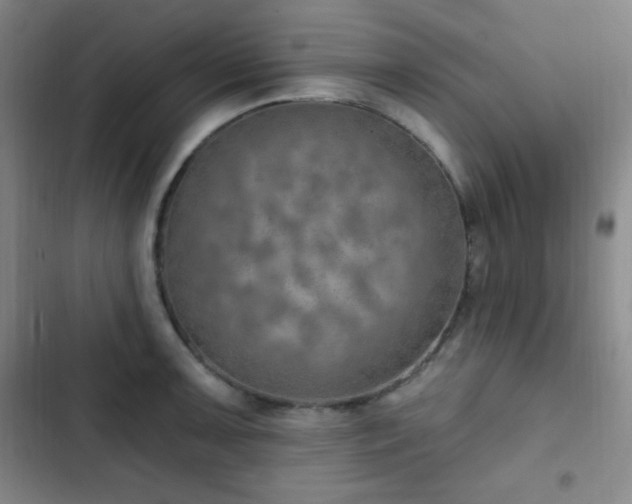 X0000103171091200808221229