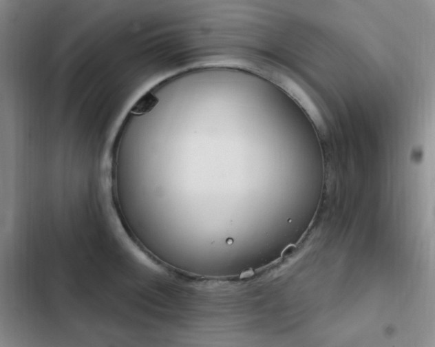 X0000103171092200808221229