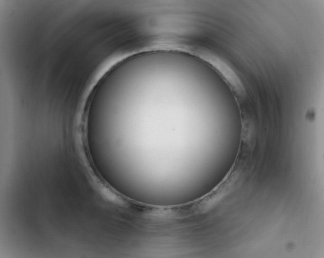 X0000103171094200808221229