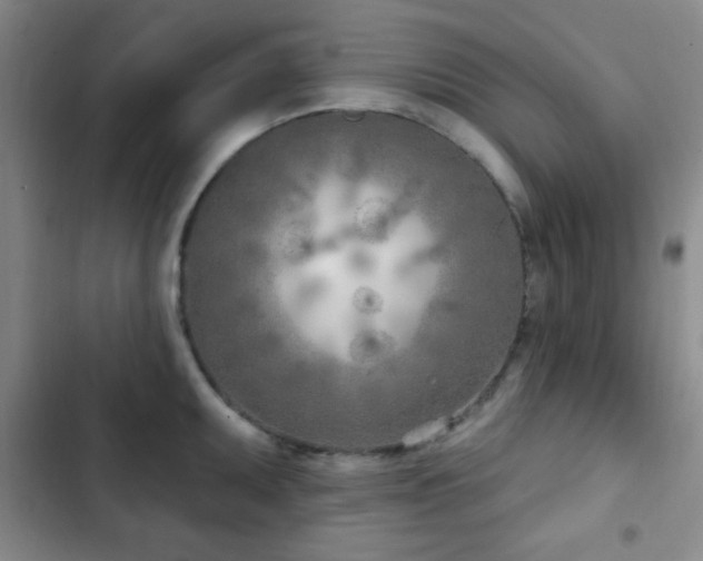 X0000103171095200808221229