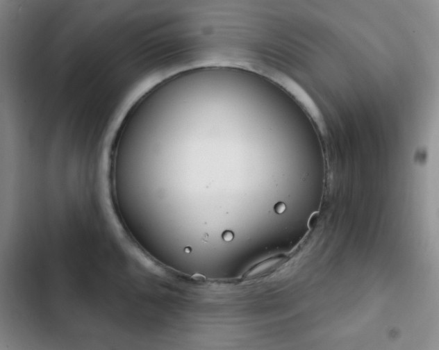 X0000103171096200808221229