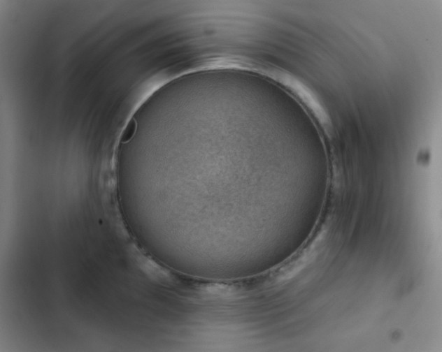 X0000103171097200808221229