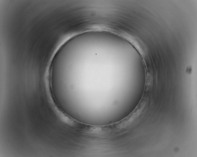 X0000103171098200808221229