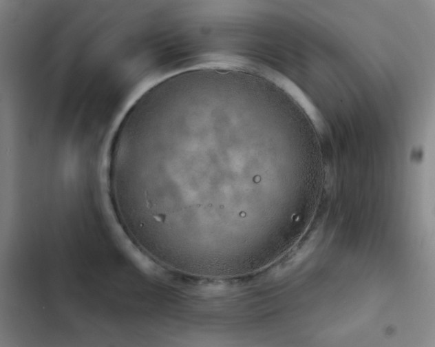 X0000103171099200808221228