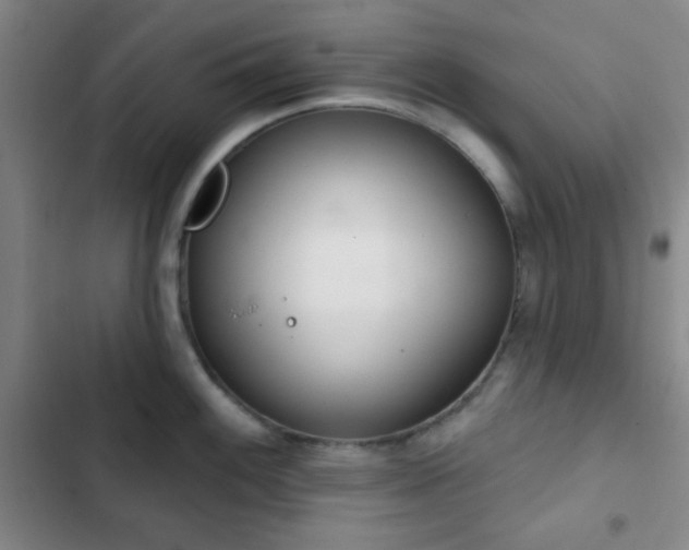 X0000103171100200808221228