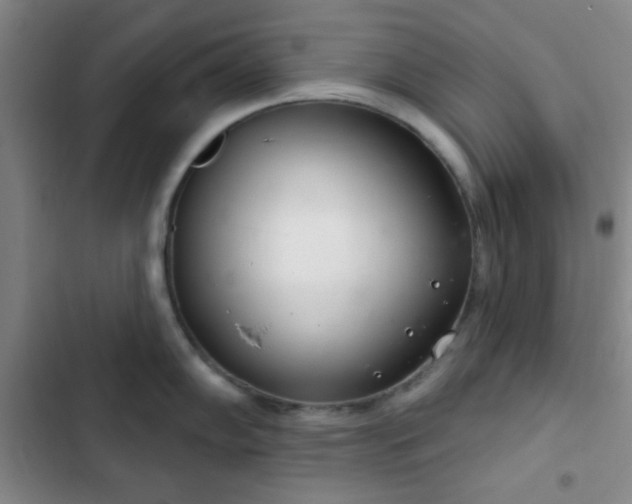 X0000103171102200808221228