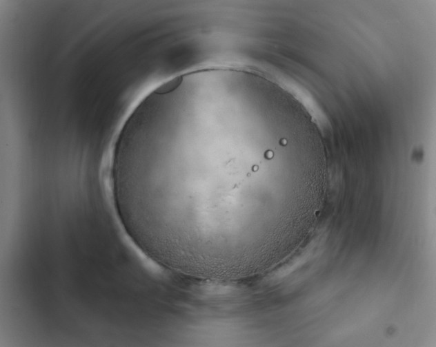 X0000103171103200808221228