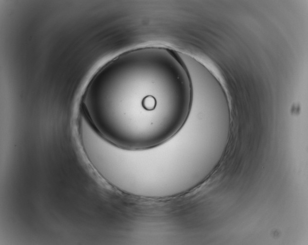 X0000103171104200808221228