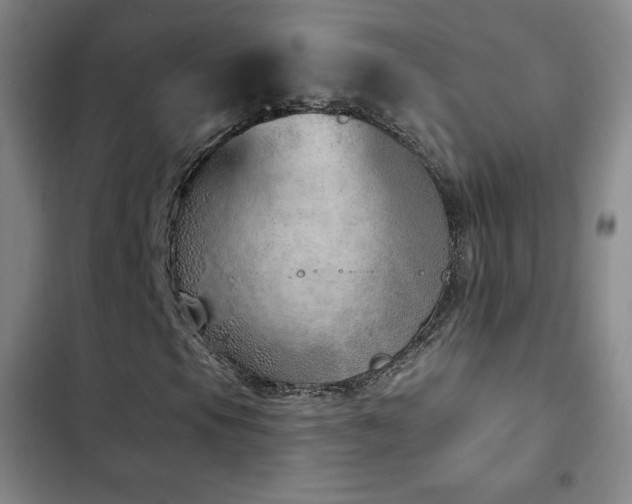 X0000103171105200808221228