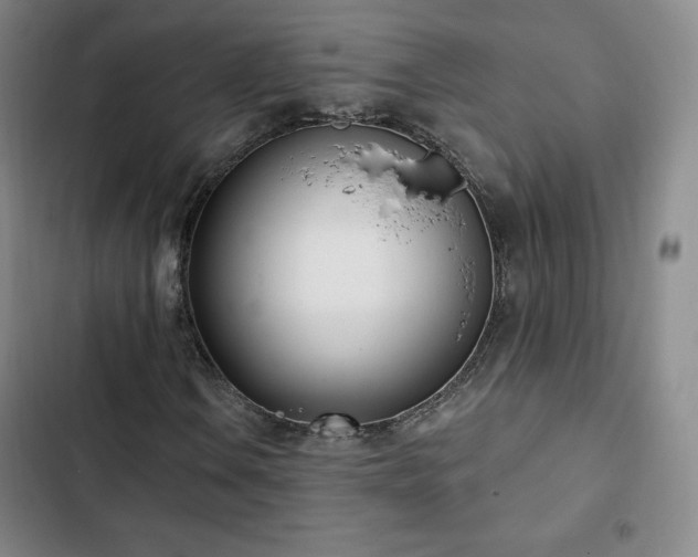 X0000103171106200808221228