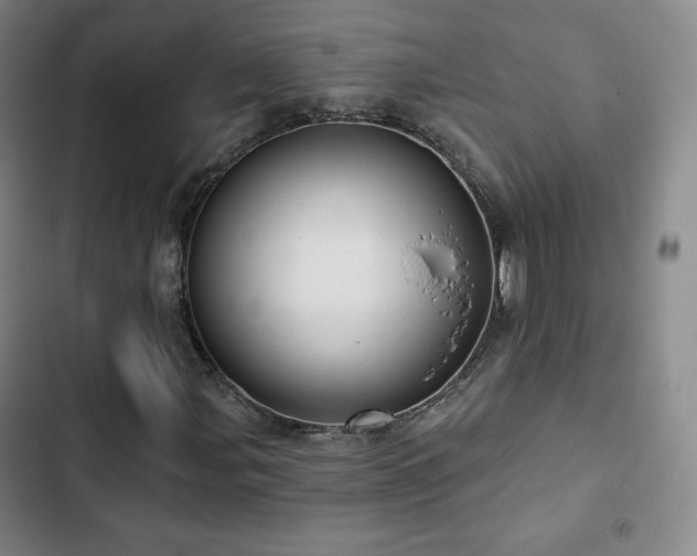 X0000103171107200808221228