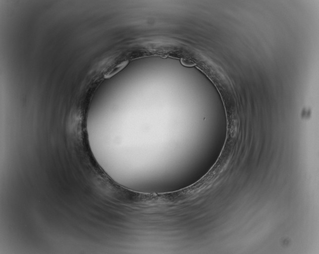 X0000103171108200808221228