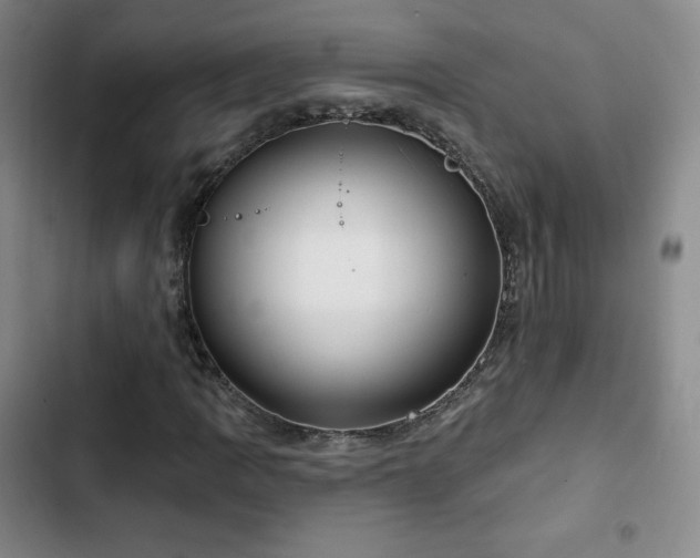 X0000103171109200808221228