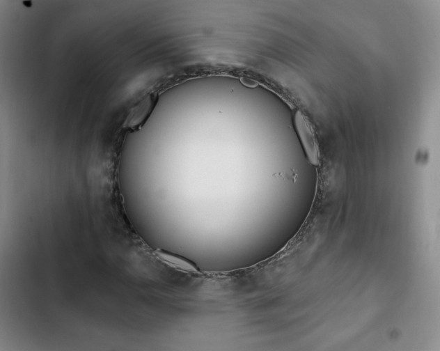 X0000103171110200808221228