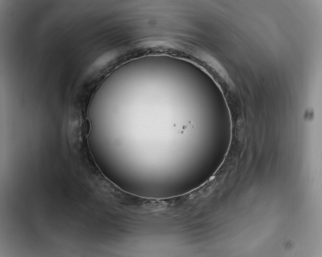 X0000103171111200808221228