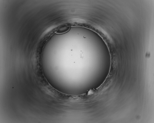 X0000103171112200808221228