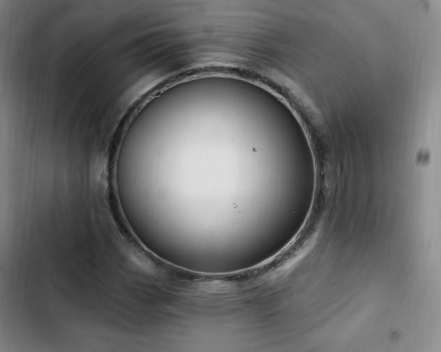 X0000103171113200808221228