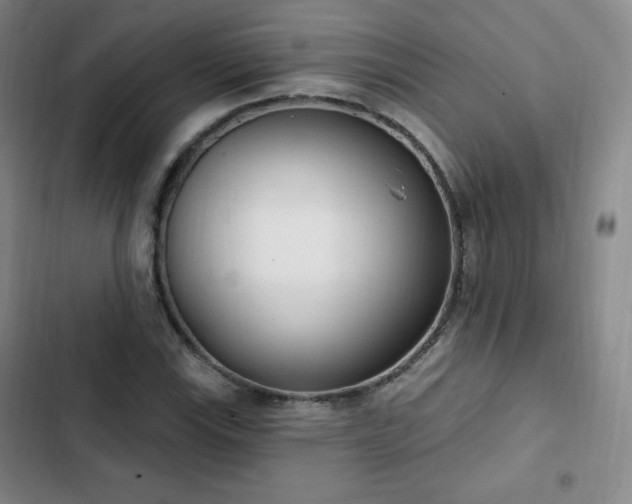 X0000103171115200808221228
