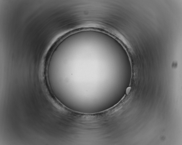 X0000103171116200808221228