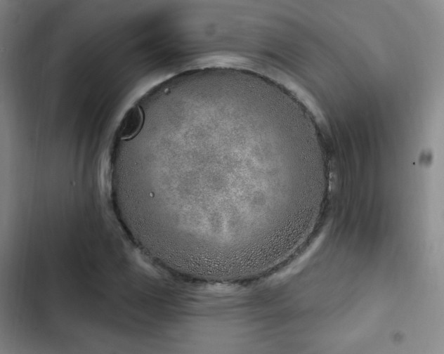 X0000103171117200808221228