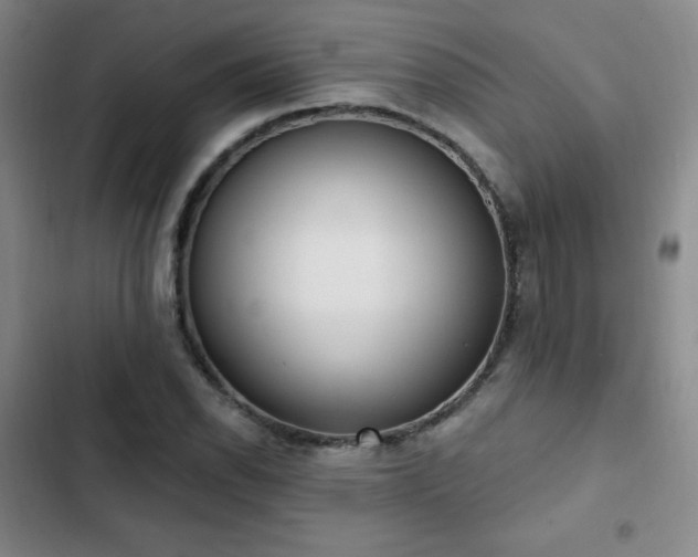 X0000103171118200808221228