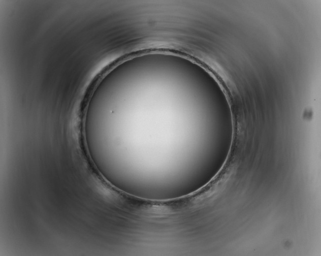 X0000103171119200808221228