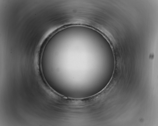X0000103171120200808221228