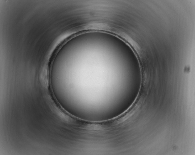 X0000103171123200808221228