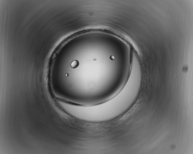 X0000103171124200808221228