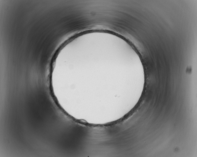 X0000103171126200808221228