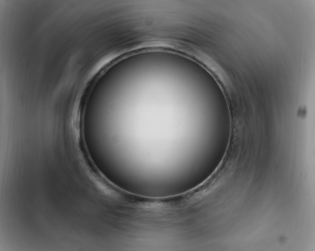 X0000103171127200808221228