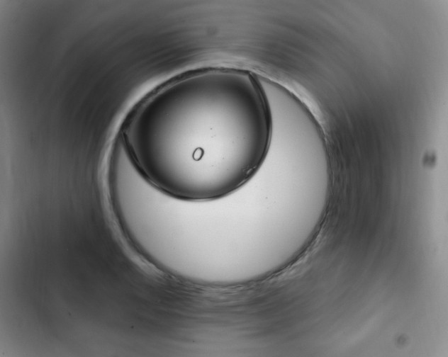 X0000103171128200808221228